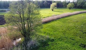 Działka rolna Rąbczyn Nowa Wieś