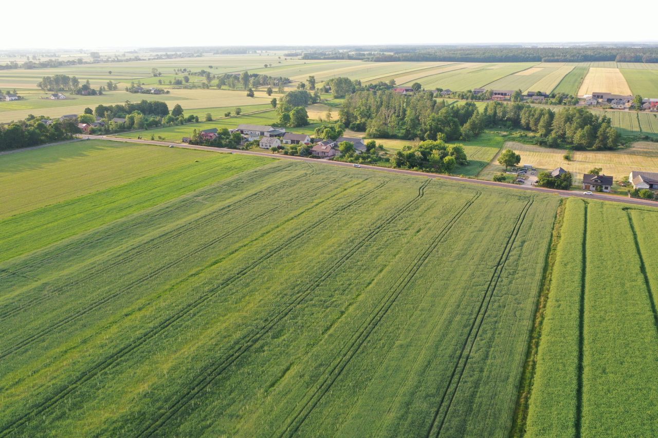 Działka budowlana Gromin. Zdjęcie 2