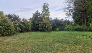 Działka budowlana Drzewociny