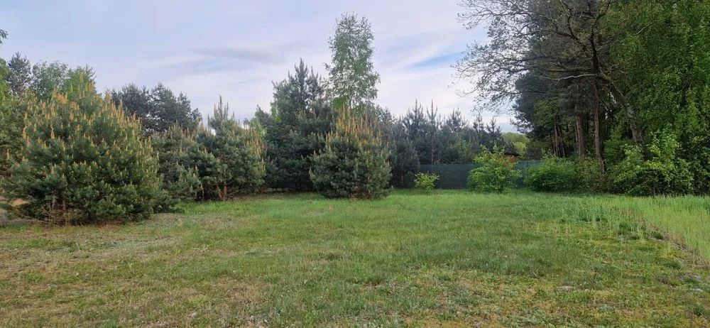 Działka budowlana Drzewociny. Zdjęcie 2