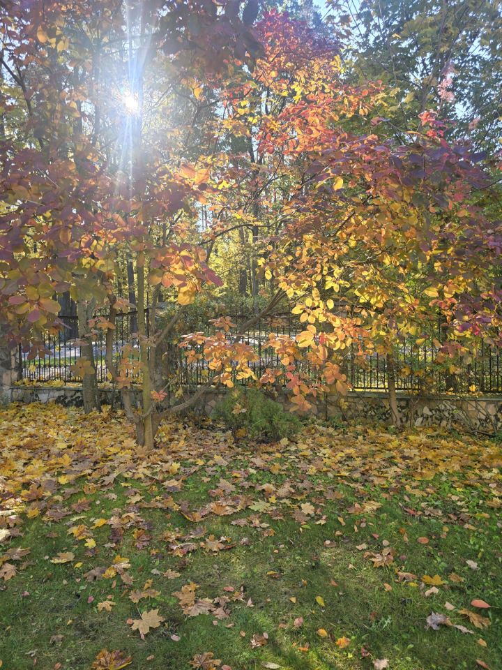 dom wolnostojący, 9 pokoi Hajnówka Judzianka, Myśliwska. Zdjęcie 7