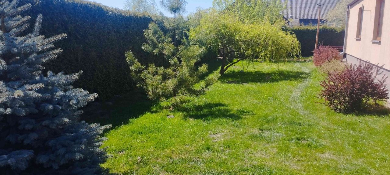 dom wolnostojący, 4 pokoje Czernięcin Poduchowny. Zdjęcie 34