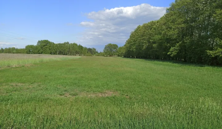 Działka rolno-budowlana Uniejów