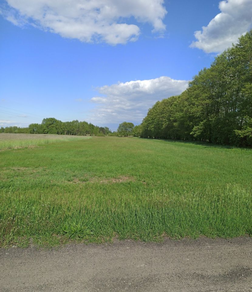 Działka rolno-budowlana Wilamów. Zdjęcie 1