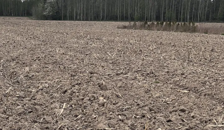 Działka rolna Baciuty, Białostocka