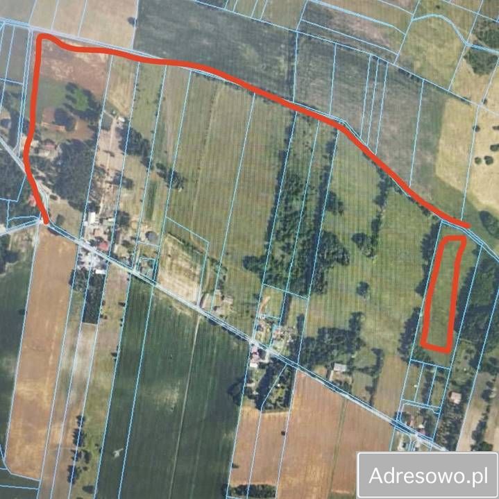 Działka budowlana Olszowiec. Zdjęcie 1