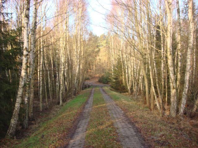 Działka rolna Dębki. Zdjęcie 2