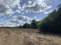 Działka budowlana Wińsko, ul. Wincentego Witosa. Zdjęcie 4