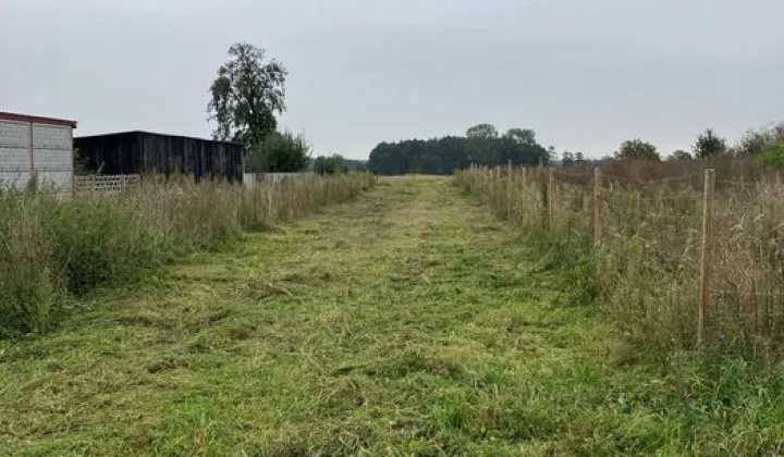 Działka budowlana Tłoki