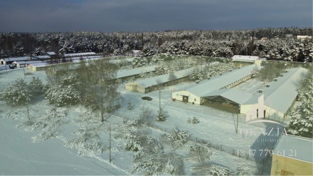 Działka inwestycyjna Wysoka Głogowska. Zdjęcie 11