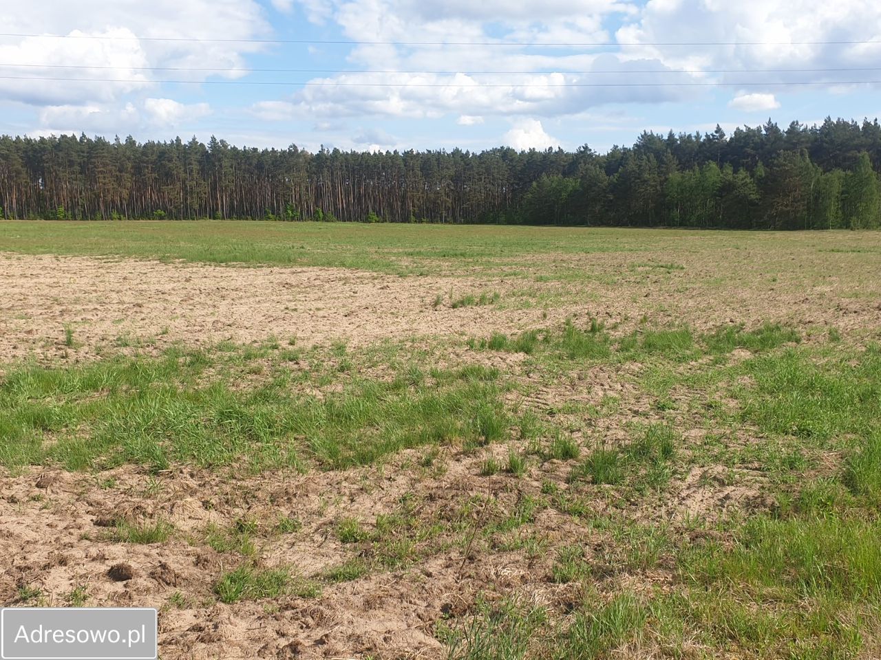 Działka budowlana Zielątkowo. Zdjęcie 3