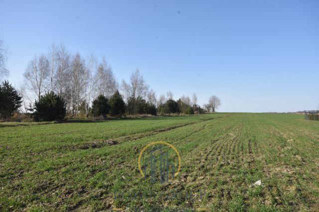 Działka Kunów. Zdjęcie 4