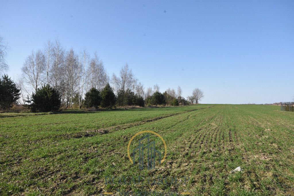 Działka Kunów. Zdjęcie 4