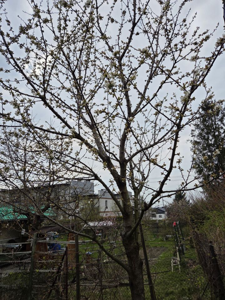 Działka rod Bielsko-Biała Lipnik, ul. Łąkowa. Zdjęcie 11