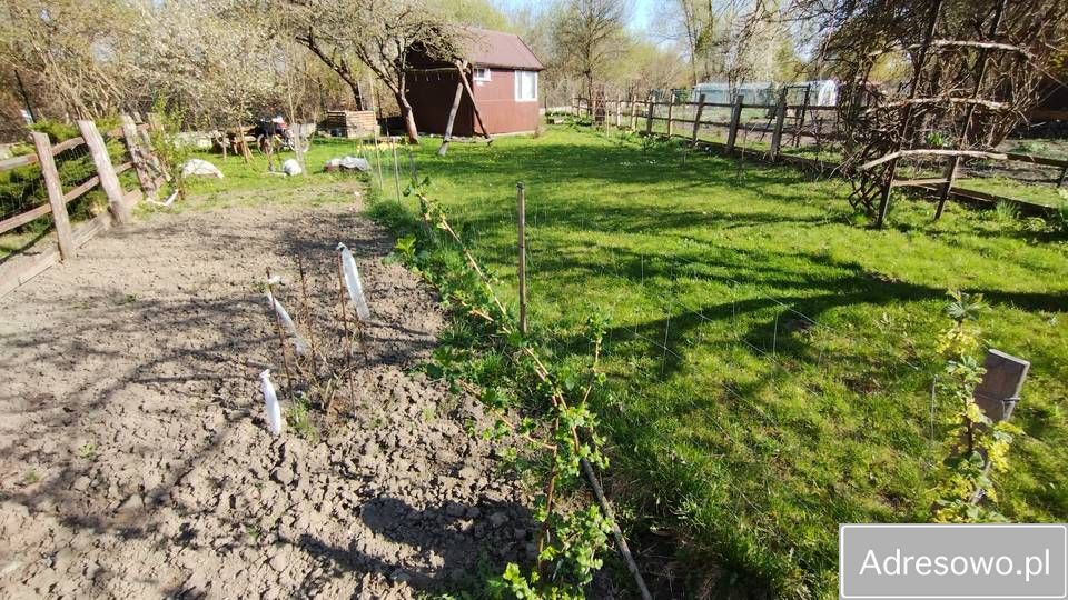 Działka rod Lublin Kalinowszczyzna, ul. Zawilcowa. Zdjęcie 8