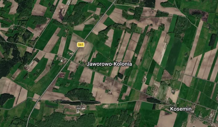 Działka rolna Jaworowo-Kolonia, ND