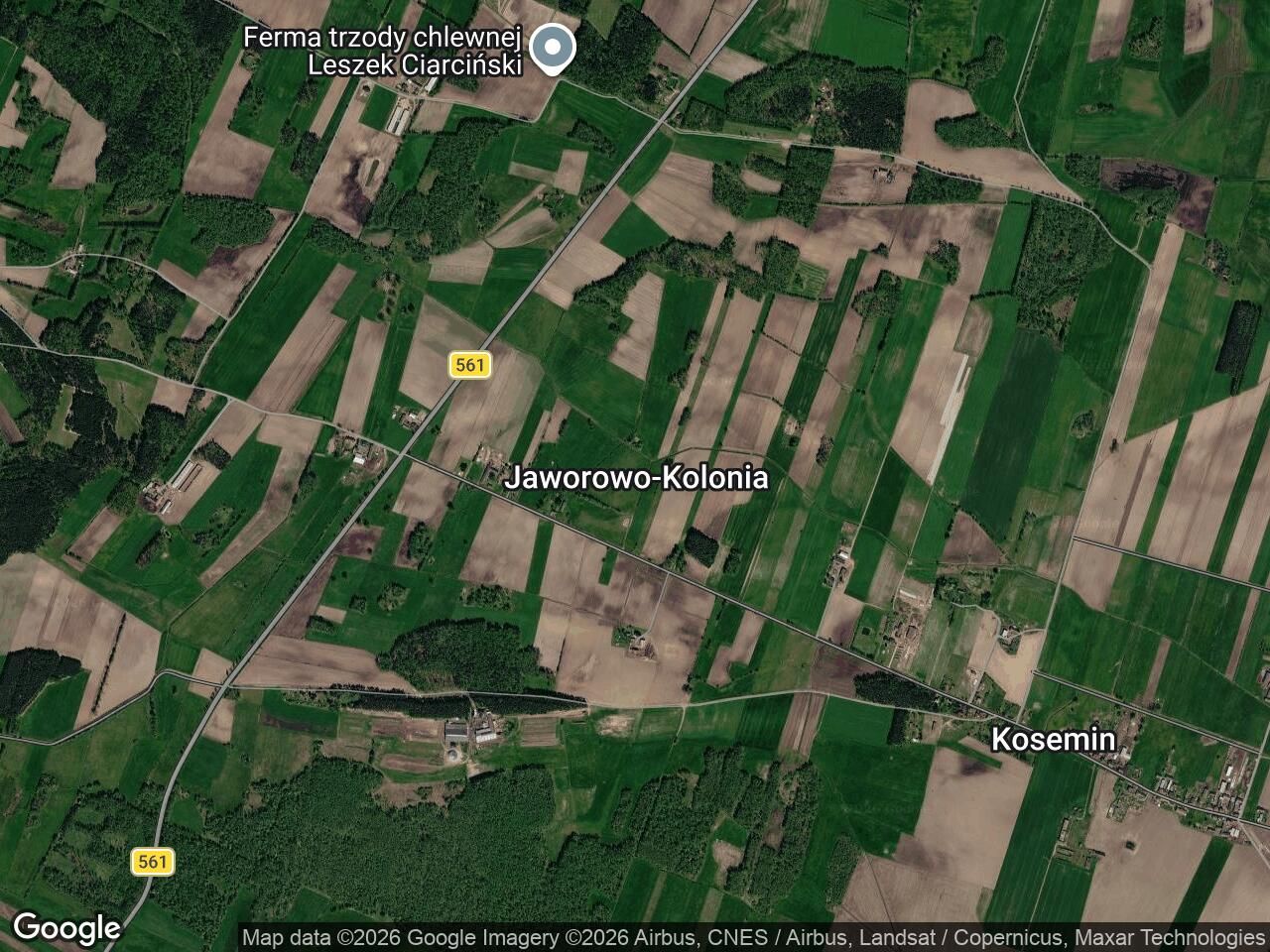 Działka rolna Jaworowo-Kolonia. Zdjęcie 1