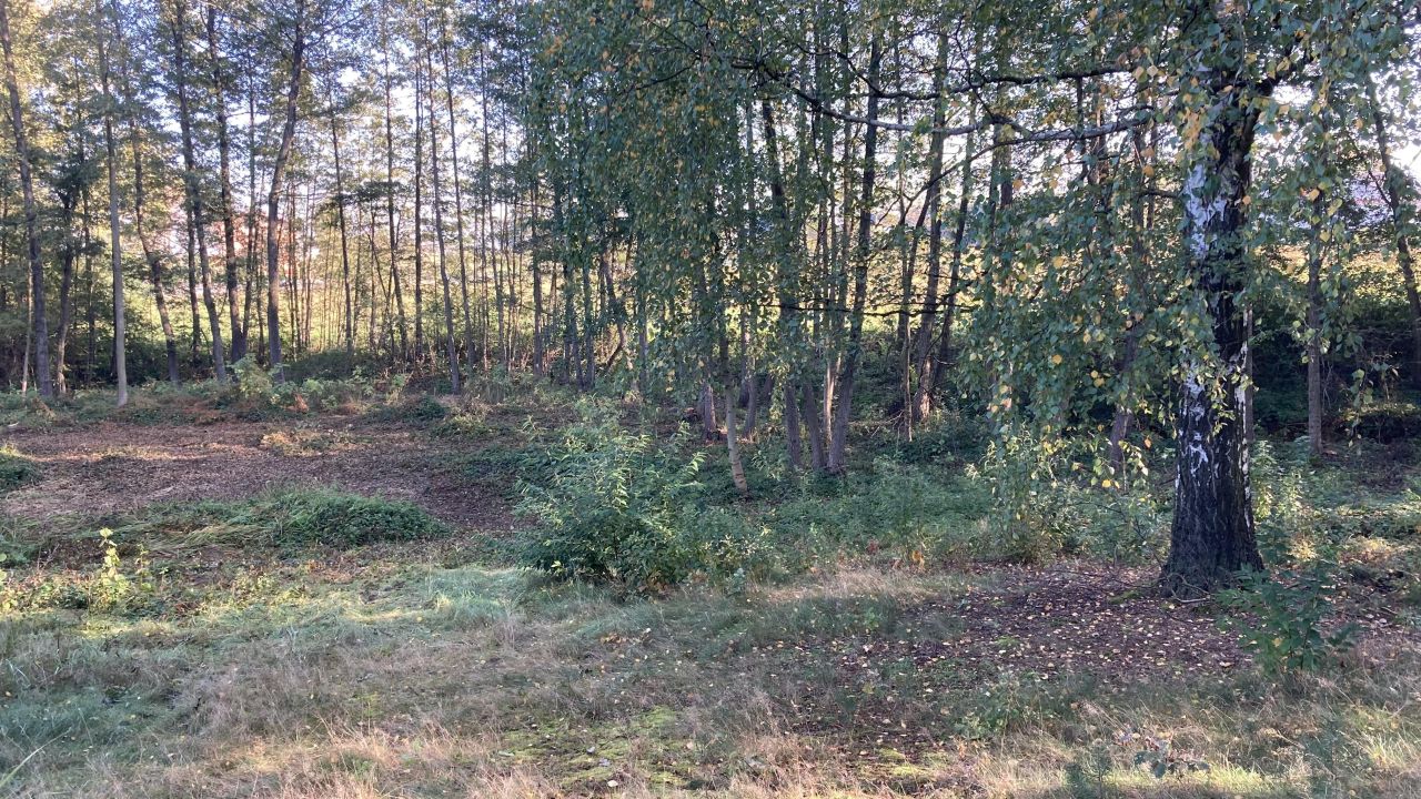 Działka inna Potaśnia, ul. Czereśniowa. Zdjęcie 10