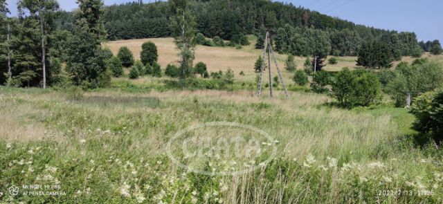 Działka budowlana Wambierzyce, ul. Wiejska. Zdjęcie 1