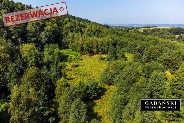 Działka budowlana Słona. Zdjęcie 14