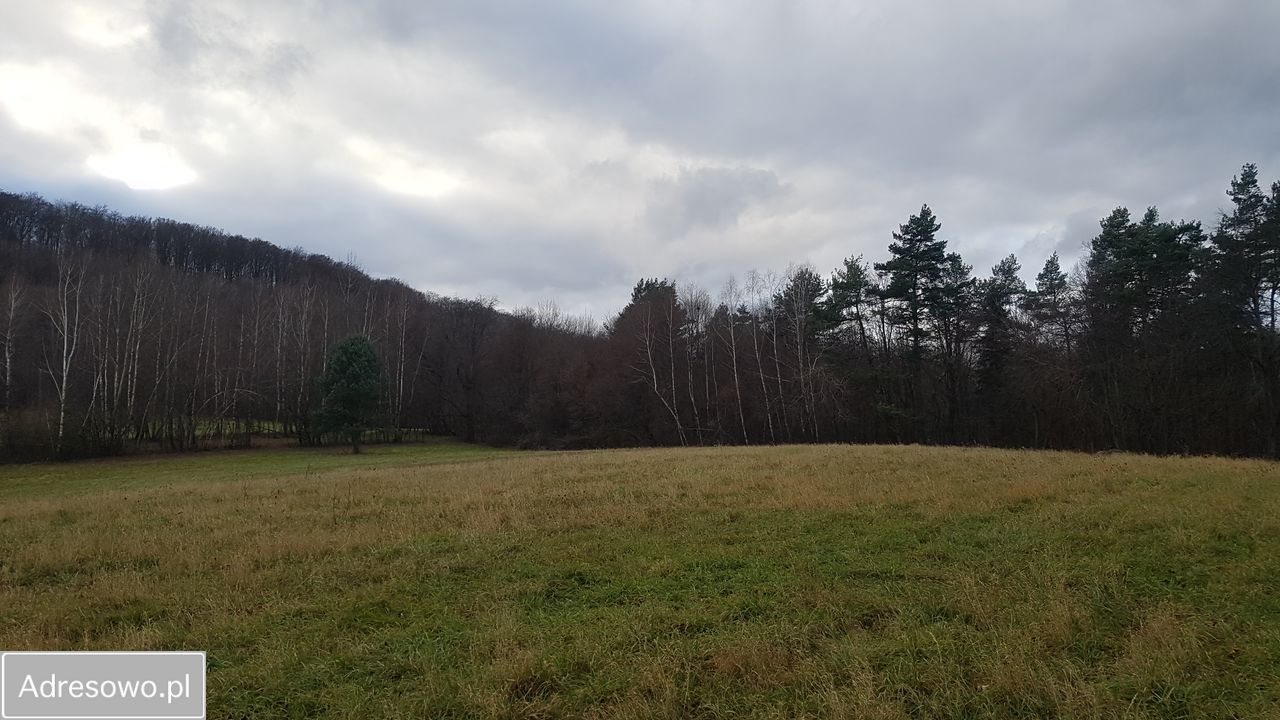 Działka inwestycyjna Bóbrka. Zdjęcie 7