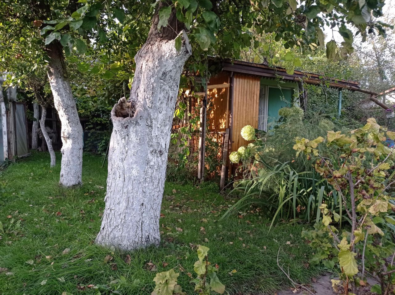 Działka rod Międzyrzecz, ul. Piastowska. Zdjęcie 3