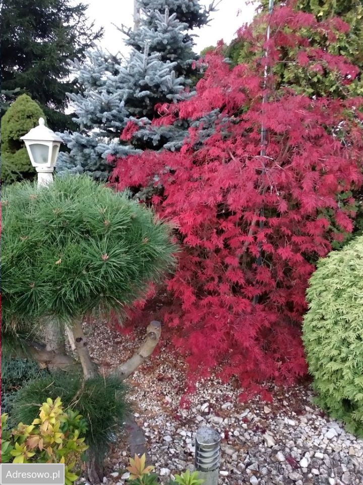 dom wolnostojący, 4 pokoje Jeszkowice, ul. Zielonego Dębu. Zdjęcie 10