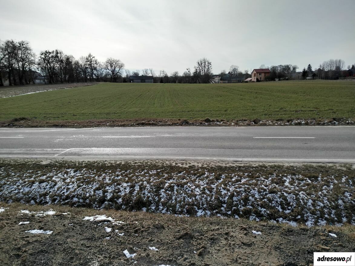 Działka Staw Noakowski. Zdjęcie 4