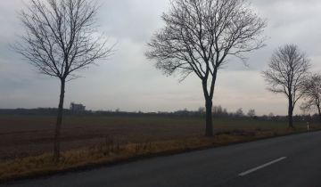 Działka inwestycyjna Wilków