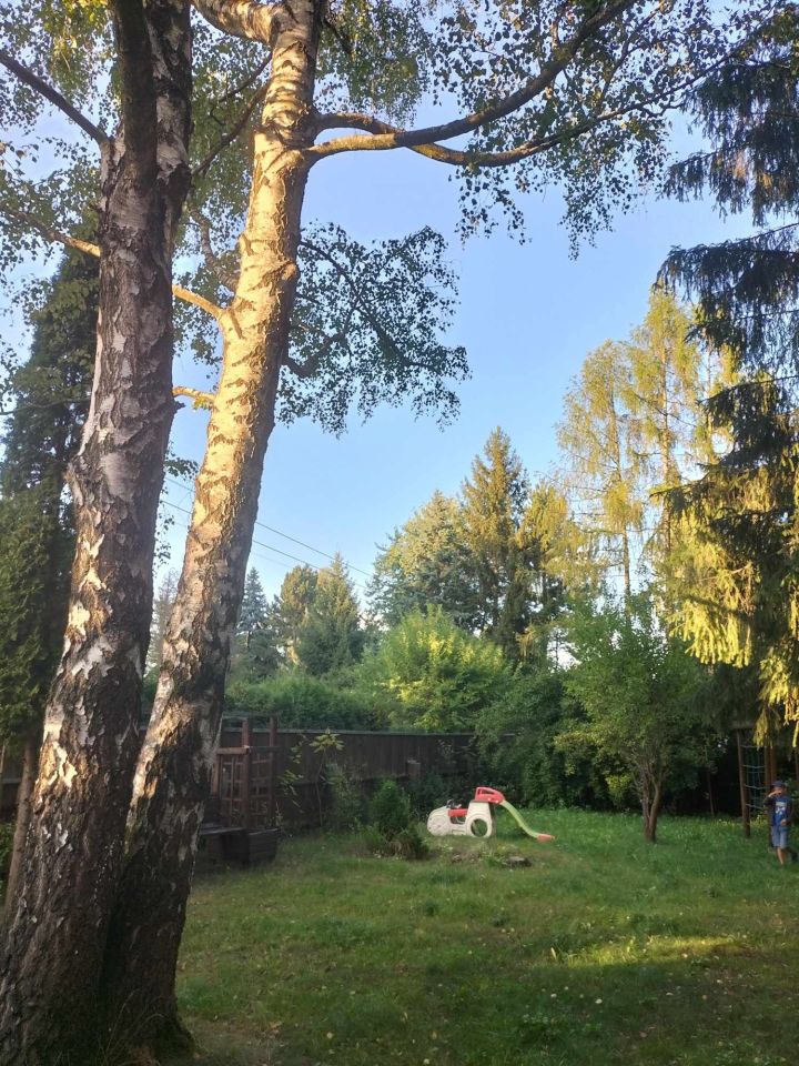 Działka rekreacyjna Szczaki