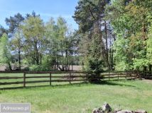 Działka Sierakówek. Zdjęcie 1