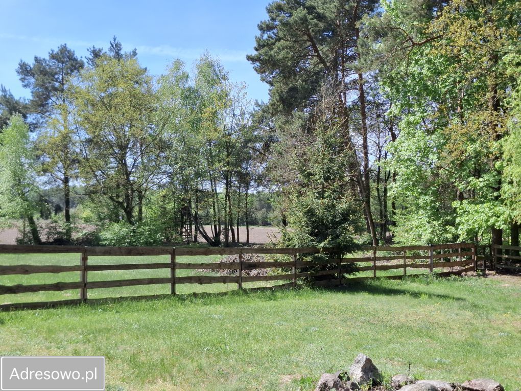 Działka Sierakówek. Zdjęcie 2