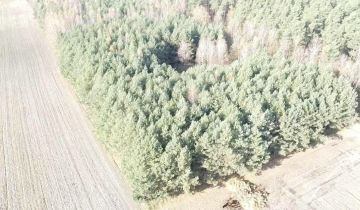 Działka siedliskowa Pustki