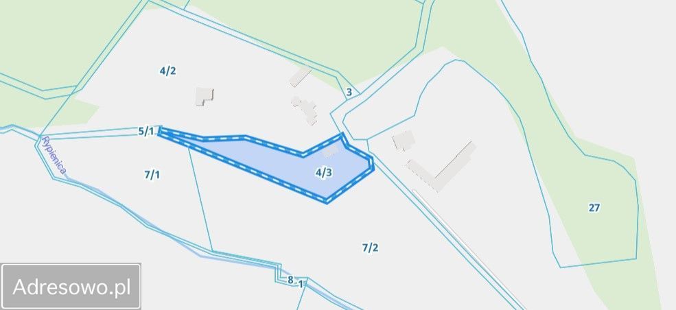 Działka siedliskowa Skudzawy. Zdjęcie 12