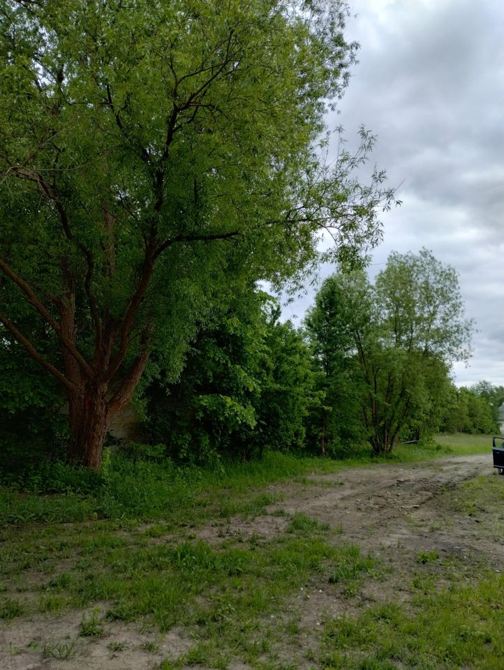 dom wolnostojący Żytno. Zdjęcie 6