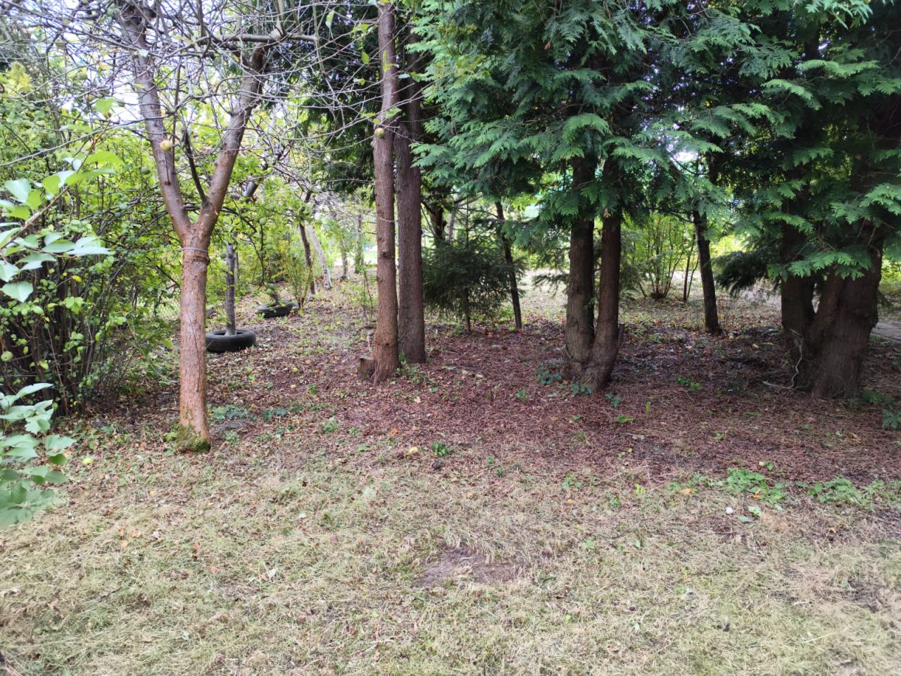 Działka rod Tarnobrzeg Wielopole. Zdjęcie 8