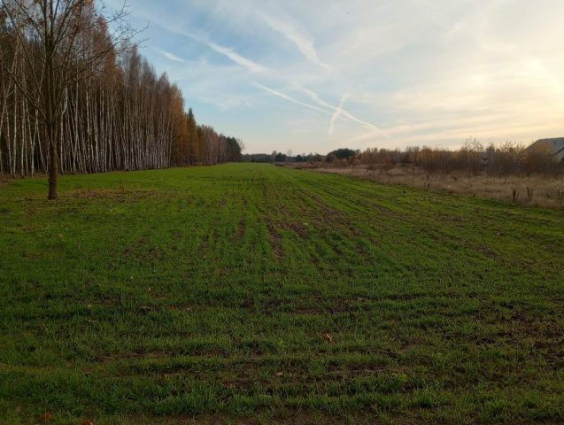 Działka rolna Żdżar. Zdjęcie 1