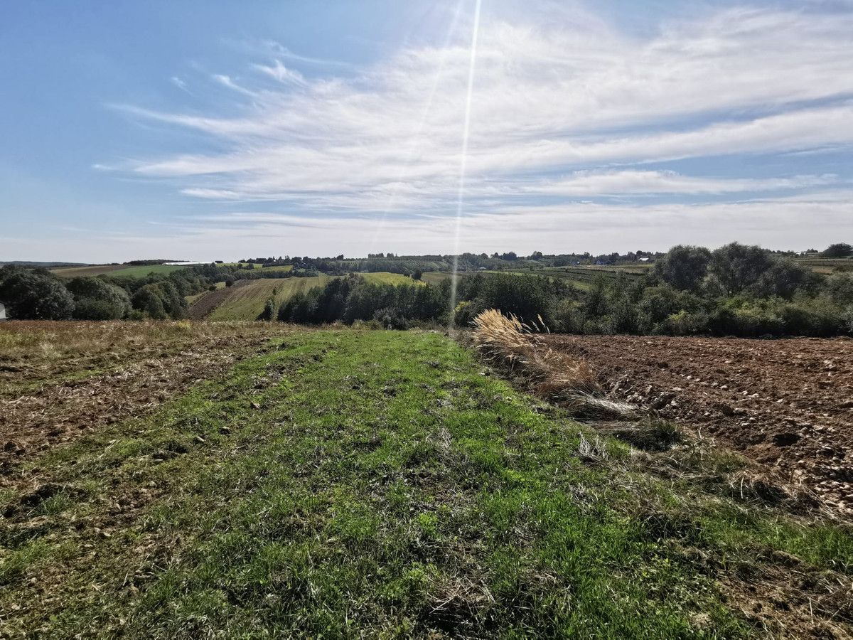 Działka rolno-budowlana Krasieniec Zakupny, ul. Zielna. Zdjęcie 3