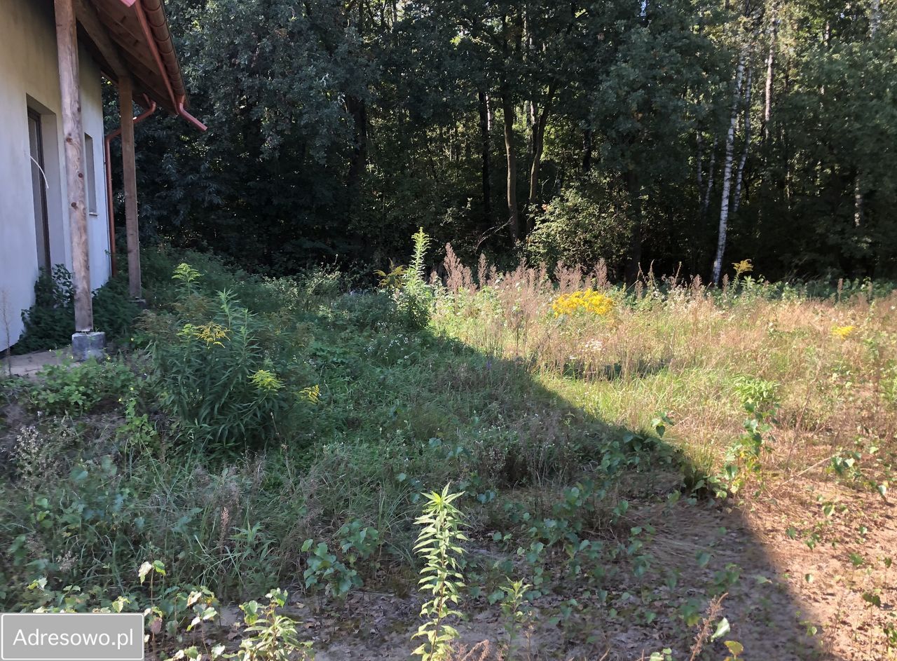 dom wolnostojący, 3 pokoje Borek. Zdjęcie 3