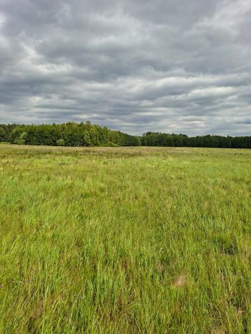 Działka rolna Brzeźnica. Zdjęcie 1