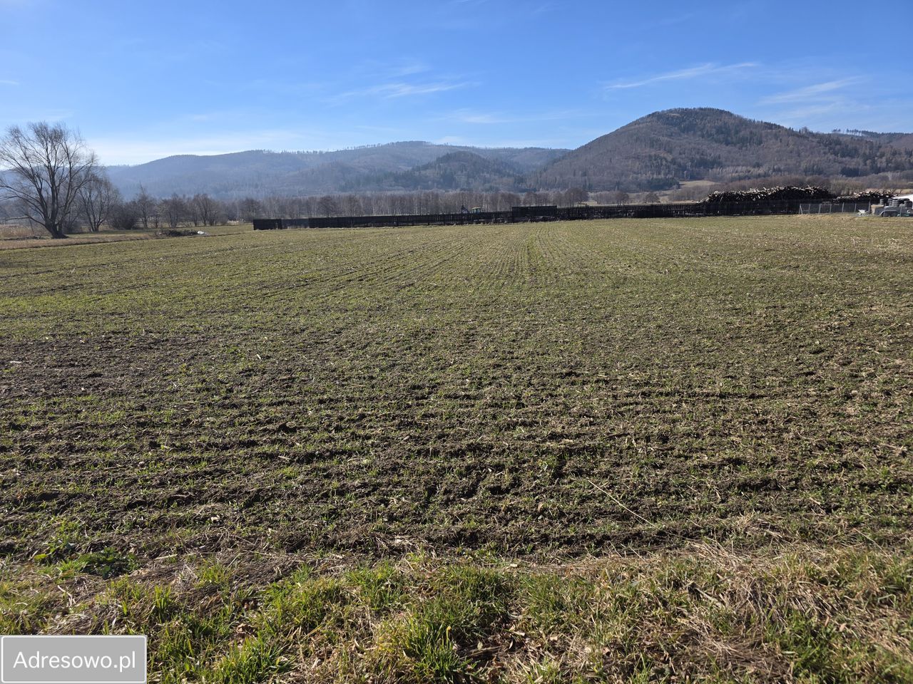 Działka rolno-budowlana Ostroszowice. Zdjęcie 1