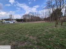 Działka rolno-budowlana Włyń. Zdjęcie 3