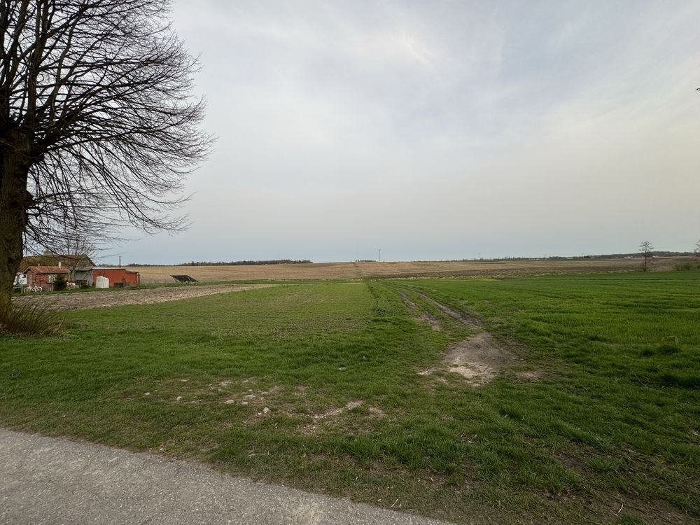 Działka budowlana Skitno. Zdjęcie 5