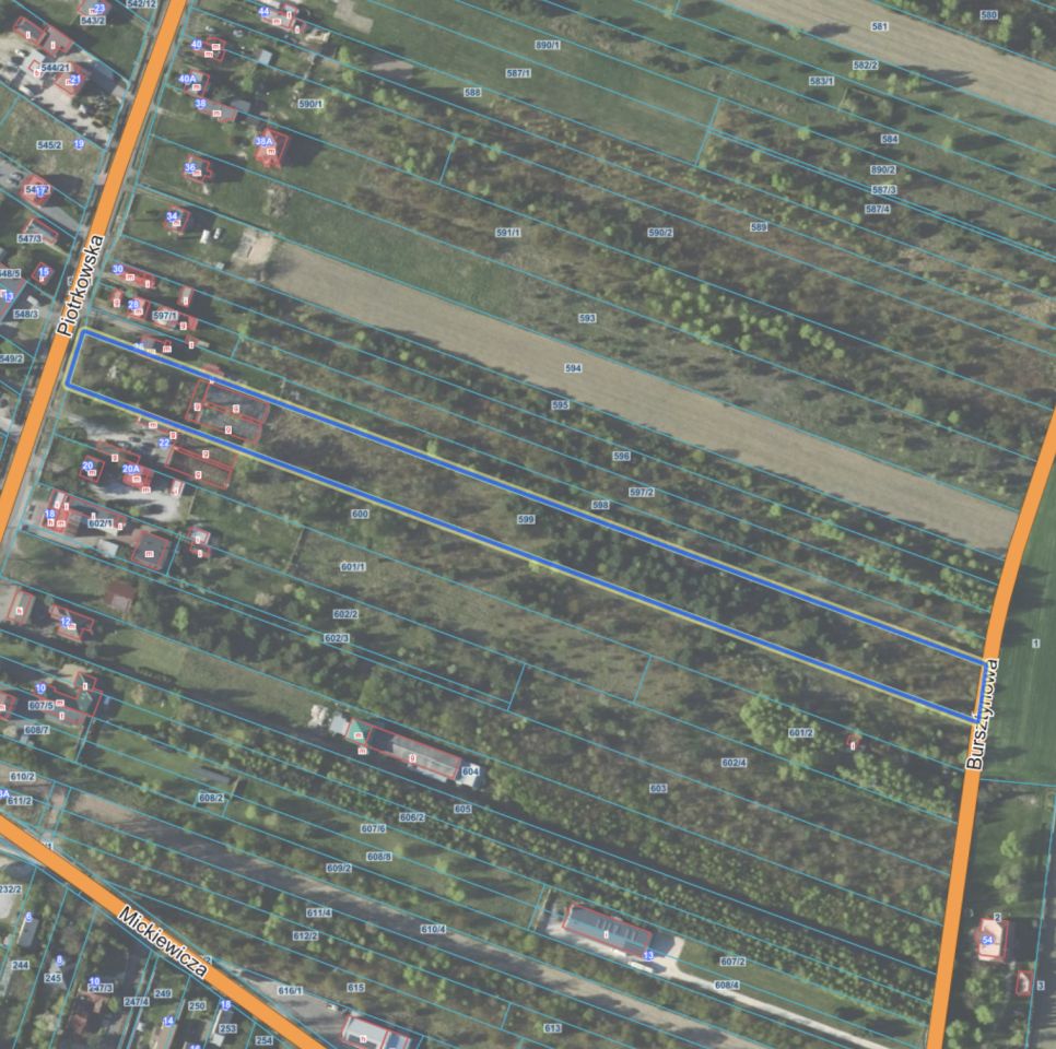 Działka rolno-budowlana Blok Dobryszyce, ul. Piotrkowska. Zdjęcie 1