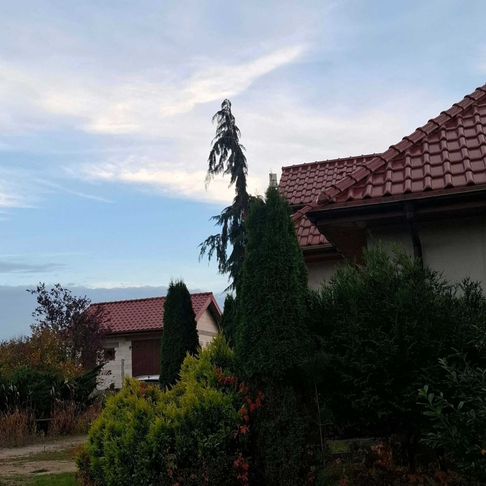 dom wolnostojący Zaręba. Zdjęcie 6