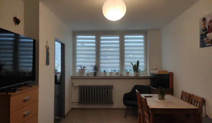 Mieszkanie 3-pokojowe Bielsko-Biała Aleksandrowice, ul. Spółdzielców