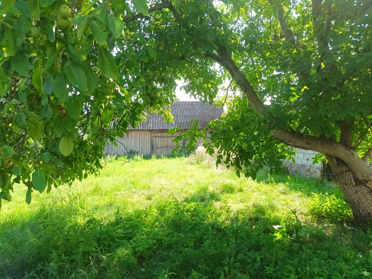 Działka siedliskowa Wieniawa. Zdjęcie 6