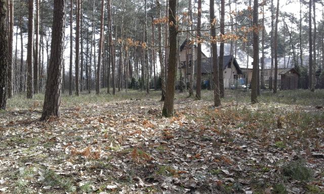 Działka budowlana Żarki-Letnisko, ul. Okrężna. Zdjęcie 1