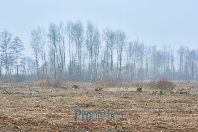 Działka budowlana Opaleniec. Zdjęcie 13