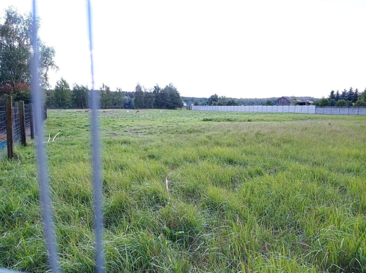 Działka budowlana Bolesławiec. Zdjęcie 6